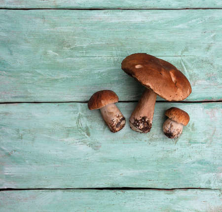 fresh mushrooms on wooden surfaceの写真素材