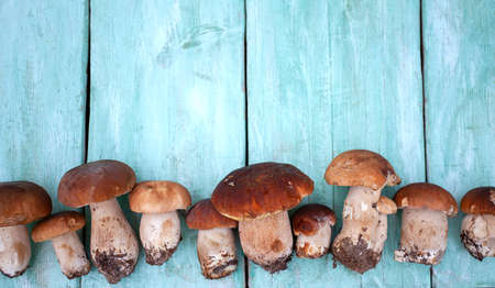 fresh mushrooms on wooden surfaceの写真素材