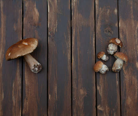 fresh mushrooms on wooden surfaceの写真素材