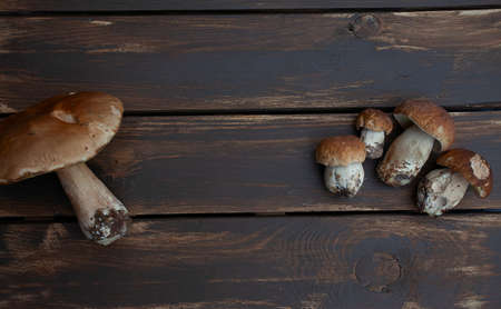 fresh mushrooms on wooden surfaceの写真素材