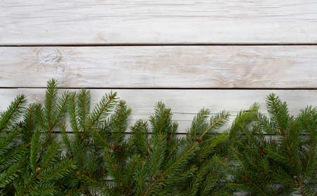 twigs of fir on wooden surfaceの写真素材