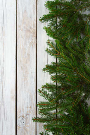 twigs of fir on wooden surfaceの写真素材