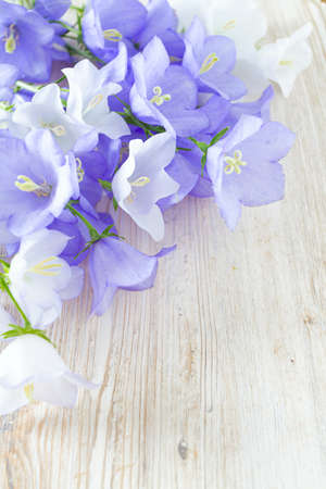 blue bell flowers on wooden surfaceの写真素材
