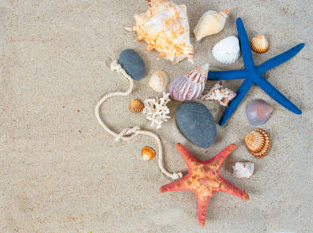 colorful sea shells, pebles and rope on sand