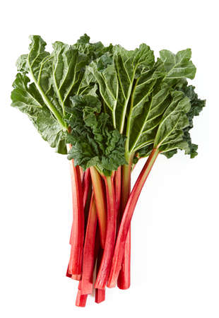 Fresh rhubarb isolated on white background