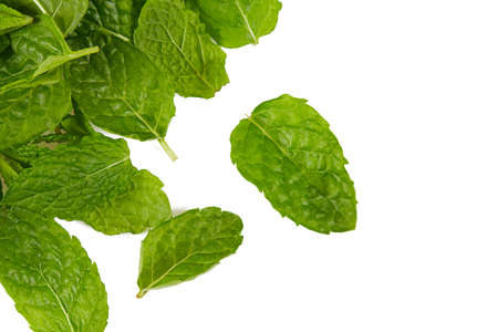 fresh mint leafs isoalted on white background