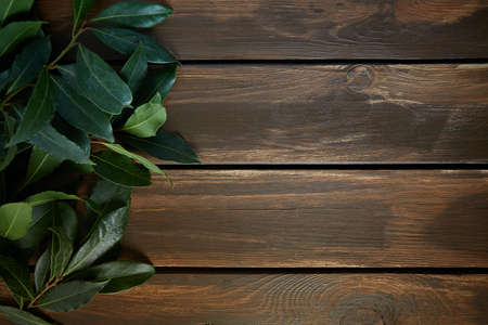 bay leaf twigs on brown wooden surface