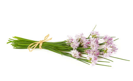 blooming chives isolated on white background