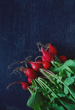 fresh radish on a dark wooden surface