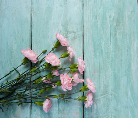 beautiful carnations on turquoise wooden surface