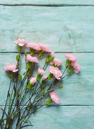 beautiful carnations on turquoise wooden surfaceの写真素材