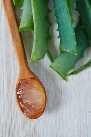 Fresh aloe stem slices and gel isolated on whiteの写真素材