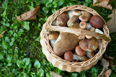 fresh nuts and dried fruis on granite surfaceの写真素材
