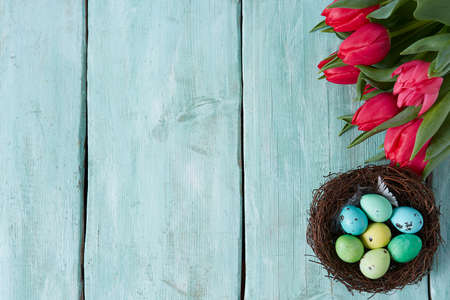 Easter eggs and beautiful tulipsの写真素材