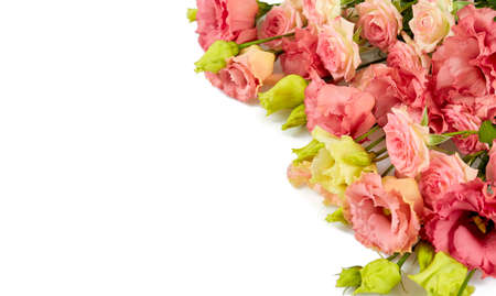 pink eustoma and rose flowers on blue surfaceの写真素材