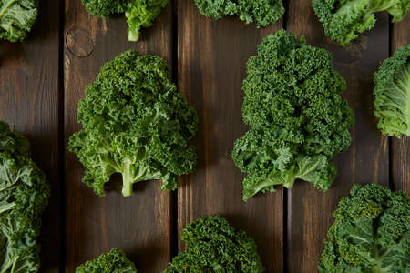 kale on dark wooden surfaceの写真素材