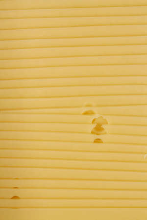 holland cheese close upの写真素材