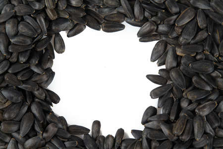 a pile of sunflower seeds isolated on white backgroundの写真素材