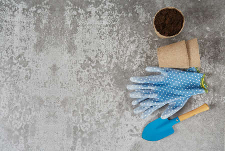 Blue shovel, garden gloves, pot with soil over grey cement surface. Planting concept.の写真素材