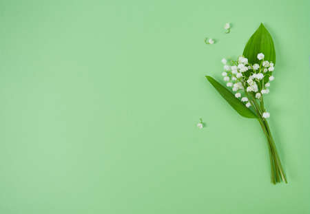 bouquet of lillies of the valley on green surfaceの写真素材