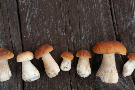 Boletus Edulis mushroom on old wooden surface, top view and copy-spaceの写真素材