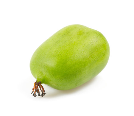 actinidia isolated on white background, close upの写真素材