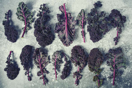 red kale on grey stone surfaceの写真素材