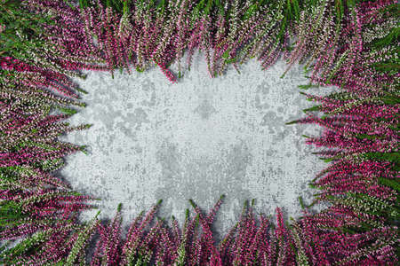 calluna vulgaris on grey stone surfaceの写真素材