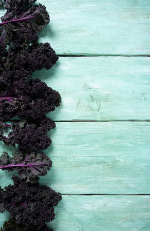 red kale on turquoise wooden surfaceの写真素材
