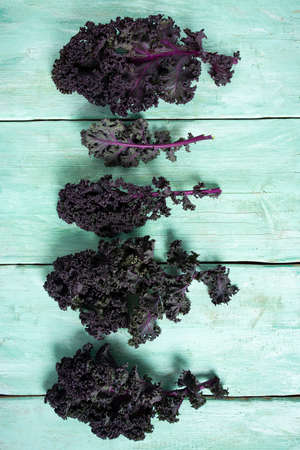 red kale on turquoise wooden surface, top viewの写真素材