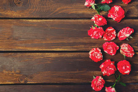 striped roses on wooden surfaceの写真素材