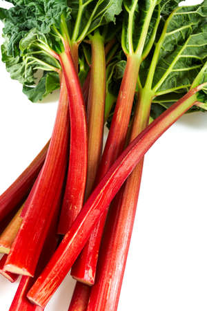 rhubarb stalks isolated on white backroundの写真素材