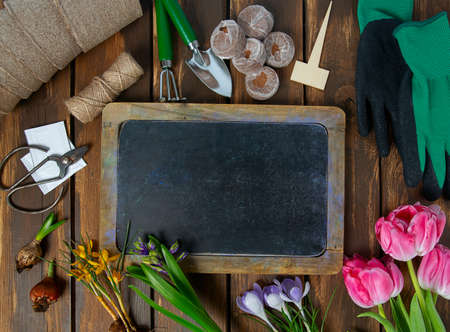 Garden tools on brown wooden surfaceの写真素材