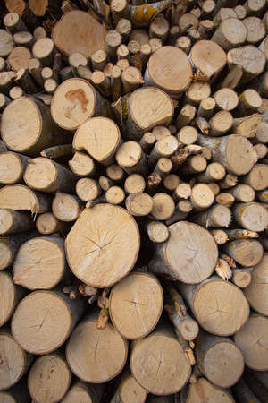 Stacked loggs of fire wood texture background.  Close up. Round loggs.