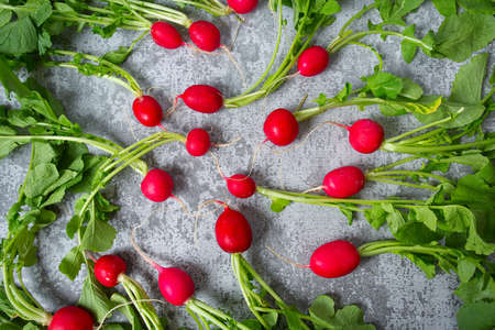 fresh radish isolated on grey granite backgroundの写真素材