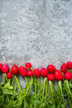 fresh radish isolated on grey granite backgroundの写真素材