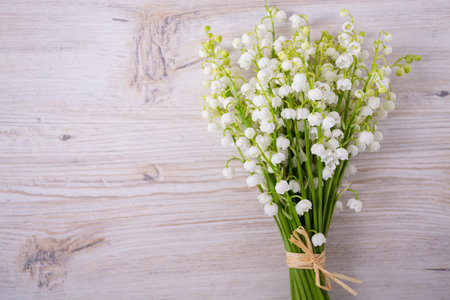beautiful flowers of lily of the valley, top view and empty space for your textの写真素材