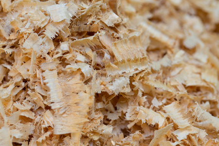 Wooden sawdust close up. Dry wood shavings background. Wood dust texture. Sawdust pattern closeup. Heap of sawdust is lying outdoor.の写真素材