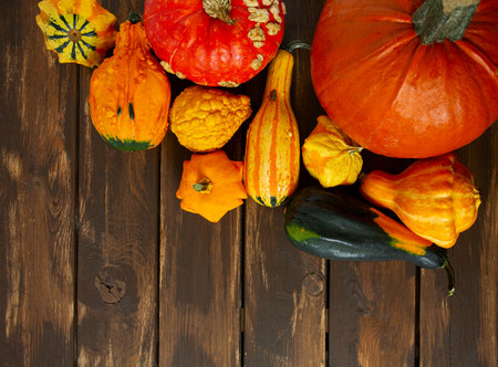 Decorative pumpkins on wooden background. Variety of edible and decorative gourds and pumpkins. Top view.の写真素材