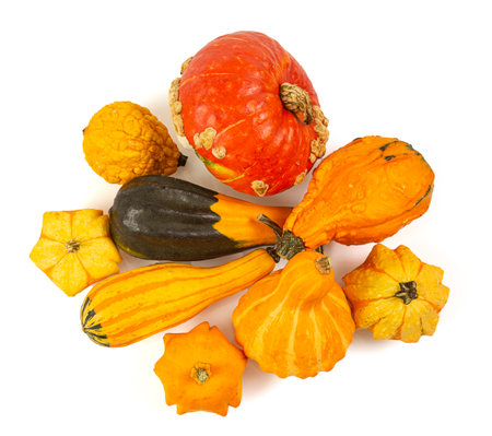 Decorative pumpkins isolated on white background. Variety of edible and decorative gourds and pumpkins. Top view.の写真素材