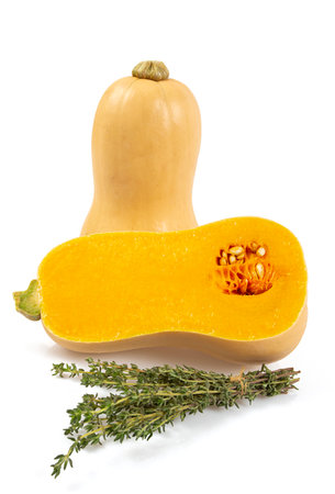 Fresh butternut squash with thyme and sage isolated on a white background, Butternut Pumpkin isolated on white background. Healthy food concept.の写真素材