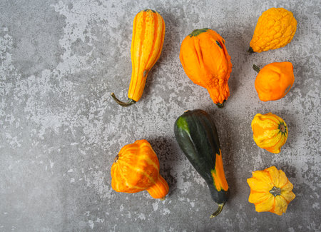 Decorative pumpkins on grey surface. Top view and empty space for your text.の写真素材