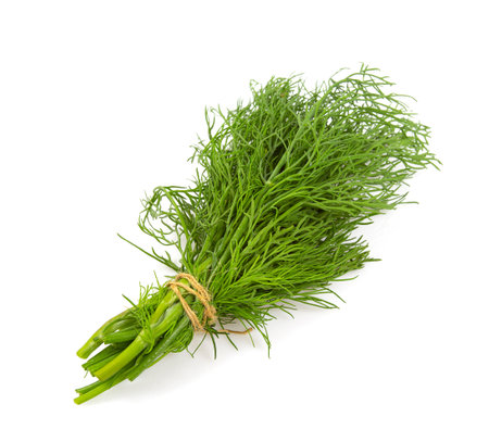 buch of dill isolated on white backgroundの写真素材