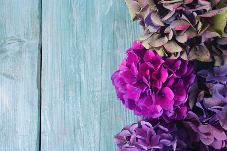 Hydrangea flowers on a turquoise wooden surface. Selective focus with blurred background with copy space. Top view.の写真素材