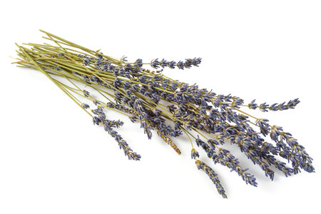 dried lavender isolated on white backgroundの写真素材