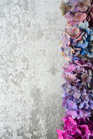 Hydrangea flowers on a stone surface. Selective focus with blurred background with copy space. Top view.の写真素材