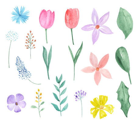 Watercolor set of color spring flowers and leavesの写真素材