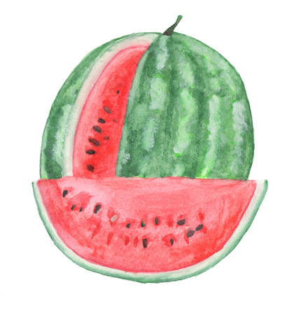 Watercolor watermelon wirh pieceの写真素材
