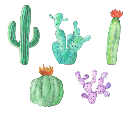watercolor set of green and violet cactiの写真素材