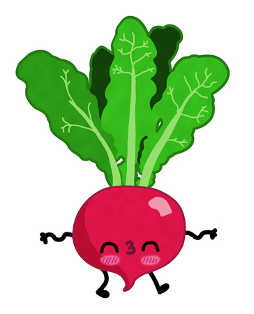 Vegetable radish with face hands and legsの写真素材